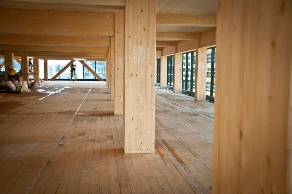 The carbon cycle and our built environment